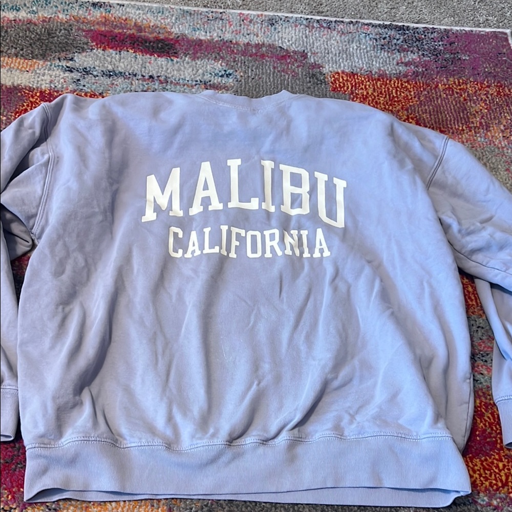 Brandy Melville Blue Crewneck Sweater